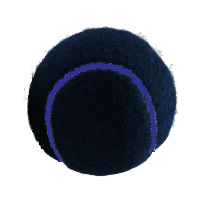 Black tennis balls with coloured seams