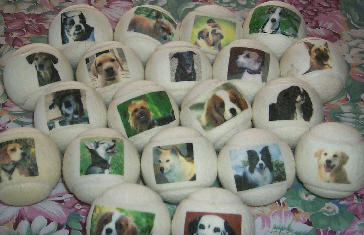 dog balls,personalized with their faces