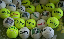 dog balls printed with pictures and names,made by J Price