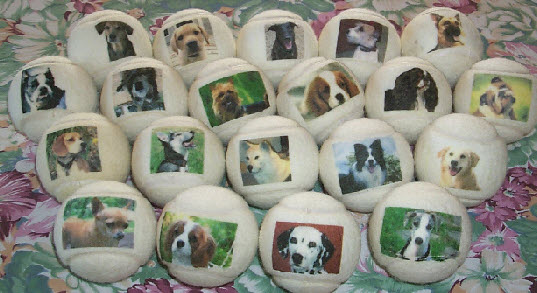 Branded dog balls with faces