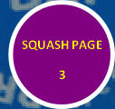 wp530f0c2a.png