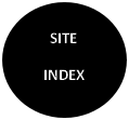 wp701b1c6a.png