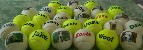 quality balls personalized for dogs and pets