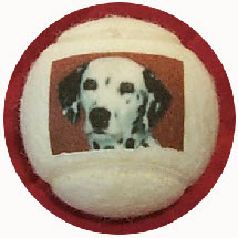 printed tennis dog balls,made by J Price