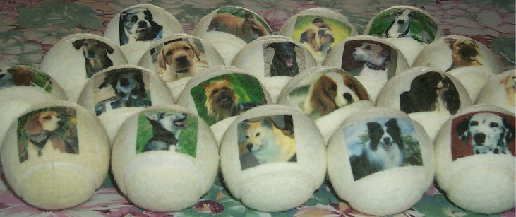 dog balls personalised with pictures
