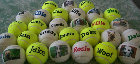 dog balls  printed with pictures and names,made by J Price