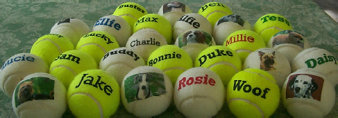 quality balls personalized for dogs and pets